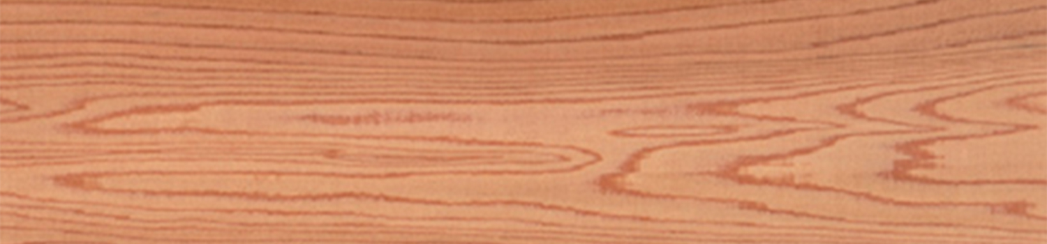 日本の樹木と木材の特徴