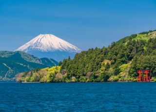 인사말  일본의 국토와 나무의 문화